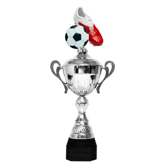 Copa Metálica Minot de Fútbol Plata