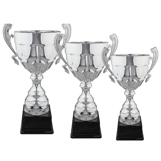 Copa de Lujo Grande en Plata