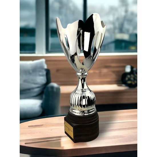 Raton Copa Láser de Plata