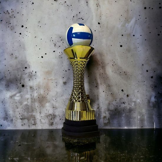 Trofeo de Voleibol de Triple Nivel