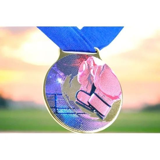 Medalla de Boxeo Sacul con Textura de Color e Impresión 3D