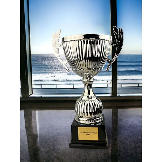 Copa Grande de Plata Beeville