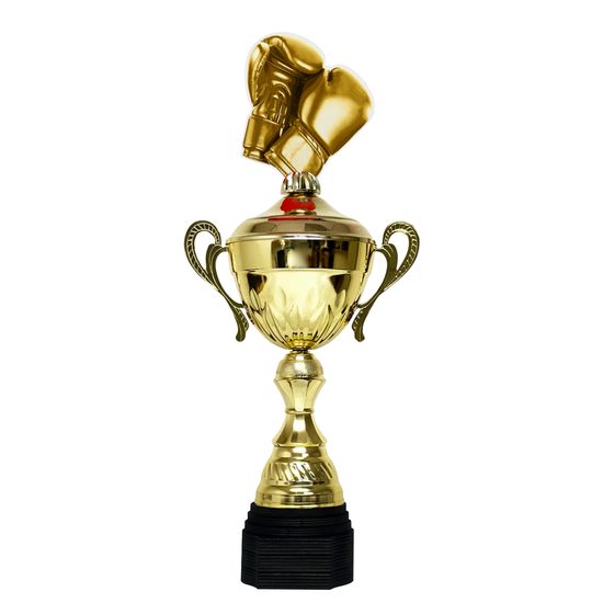 Copa Metálica Minot para Boxeo Oro