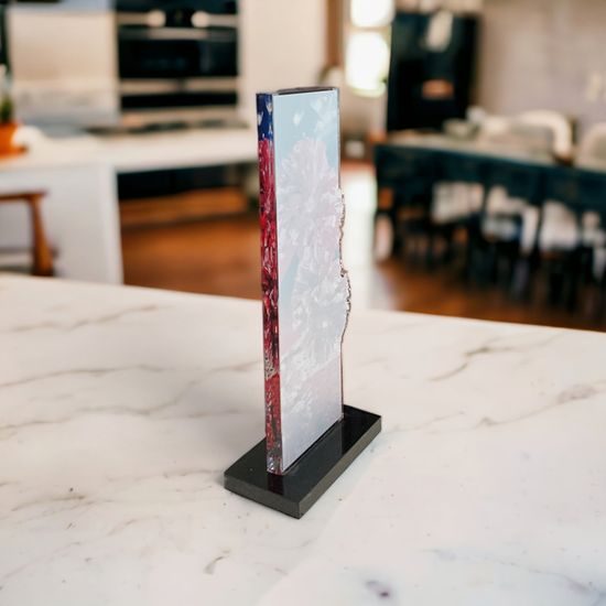 Trofeo Apla de Animación