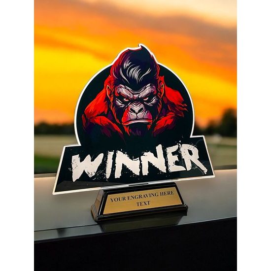 Premio Personalizado de Acrílico Edison Vehicle