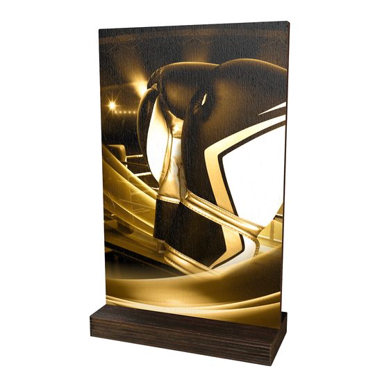 Trofeo Sherwood de Madera Ecológico para Boxeo Clásico