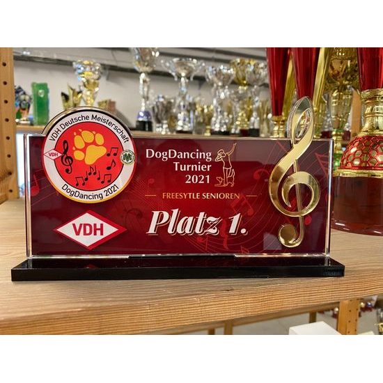 Premio Personalizado de Paisaje Tesla en Acrílico