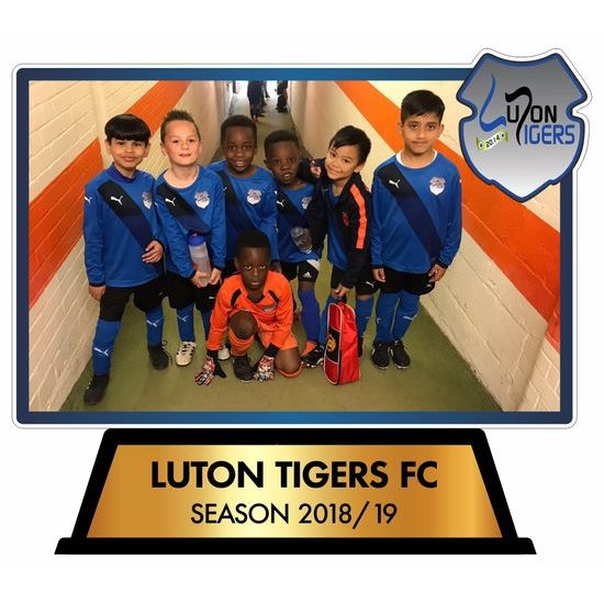 Premio Personalizado de Acrílico Edison con Foto