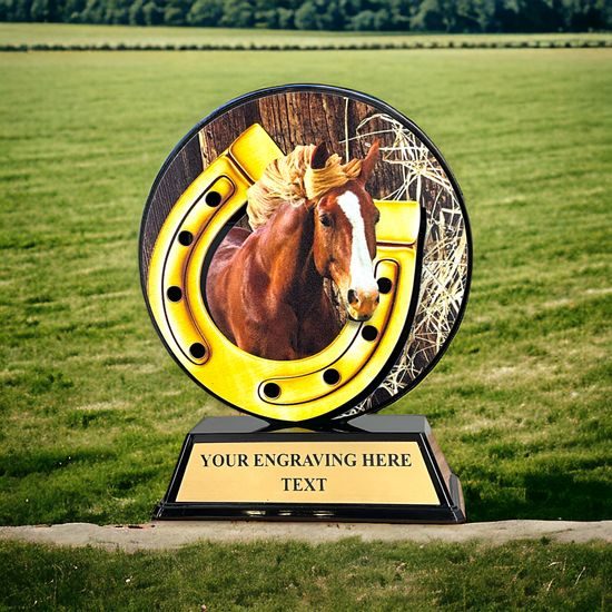 Trofeo Roswell en Acrílico Negro Ecuestre