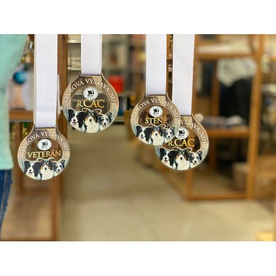 Medalla Personalizada de Panel Fusion con Logo