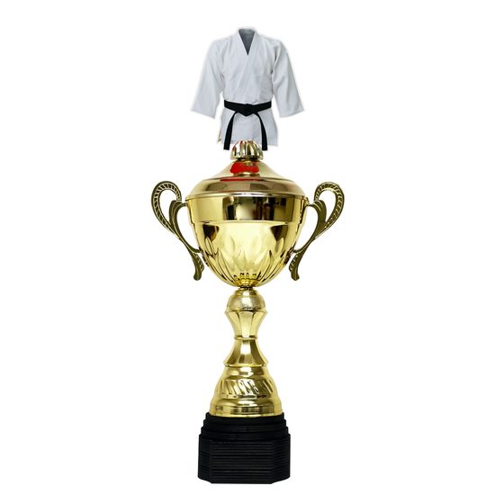 Copa Metálica Minot para Artes Marciales Oro
