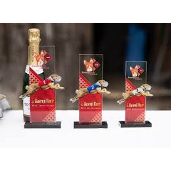 Premio de Acrílico Personalizado Retrato Tesla