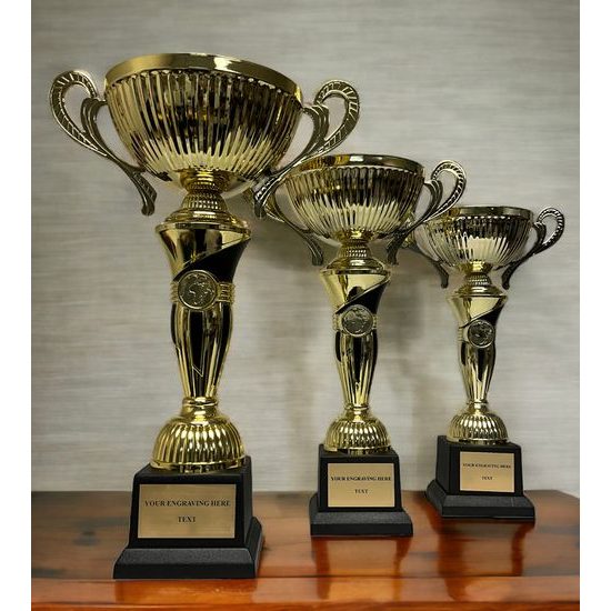 Copa de Oro y Negro sobre Base de PVC Negro