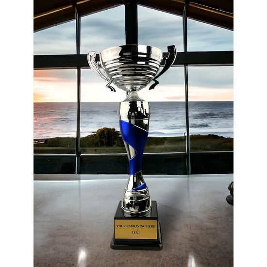 Copa Premium Silver Cup Tamaño LXL2019/06