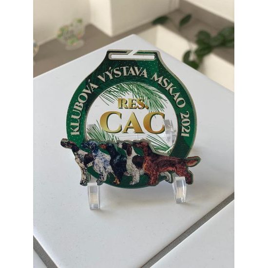 Medalla Personalizada de Panel Fusion con Logo