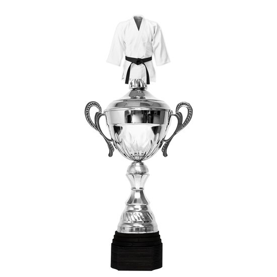 Copa Metálica Minot de Artes Marciales Plata