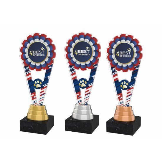 Premio Personalizado Volta de Acrílico