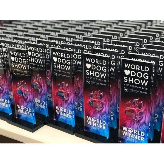 Premio de Acrílico Personalizado Retrato Tesla