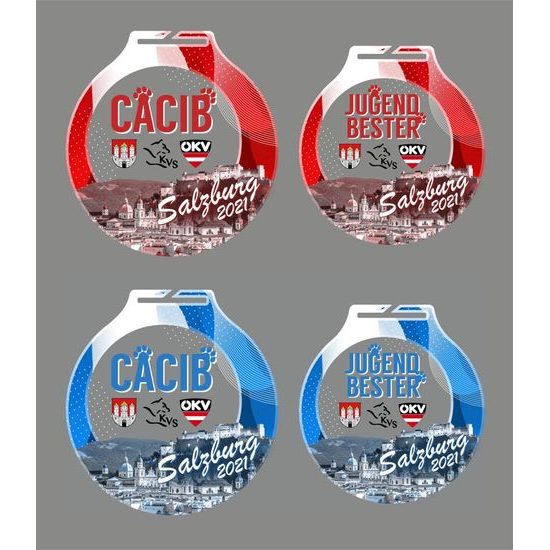 Medalla Personalizada de Panel Fusion con Logo