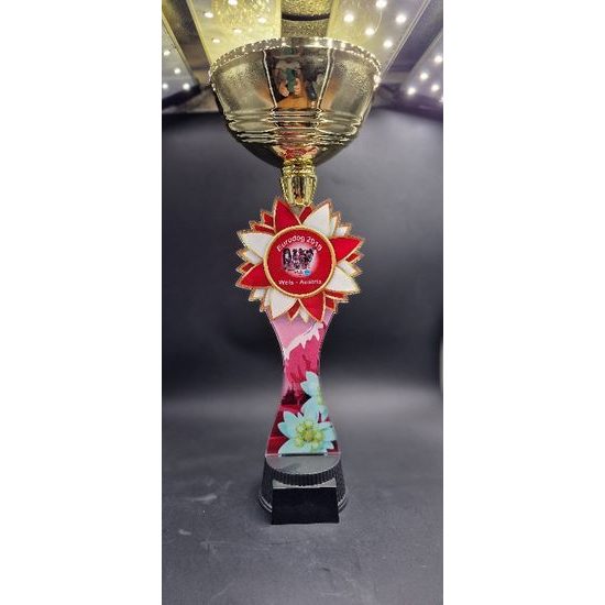 Copa Personalizada Stephenson