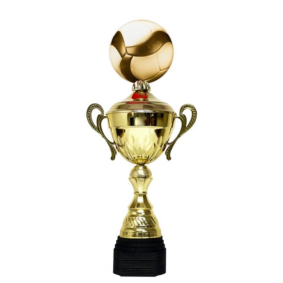Copa Metálica Minot de Voleibol Oro
