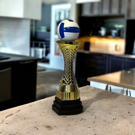 Trofeo de Voleibol de Triple Nivel