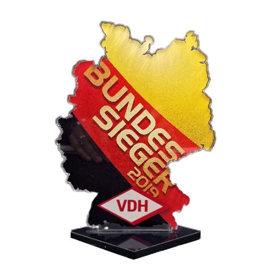 Premio de Acrílico Personalizado con Contorno del Estado de Washington