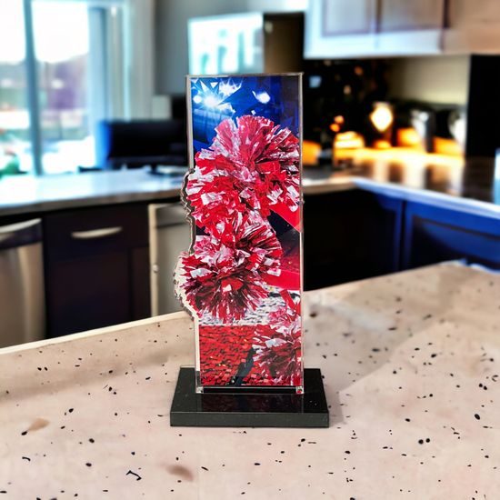 Trofeo Apla de Animación