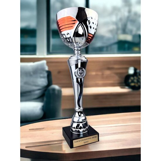 Copa de Plata y Cobre STL2022/01