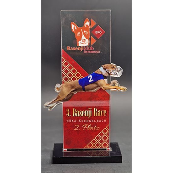 Premio de Acrílico Personalizado Retrato Tesla