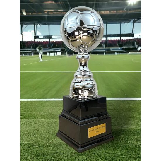 Trofeo de Fútbol Sealy Tower Plata