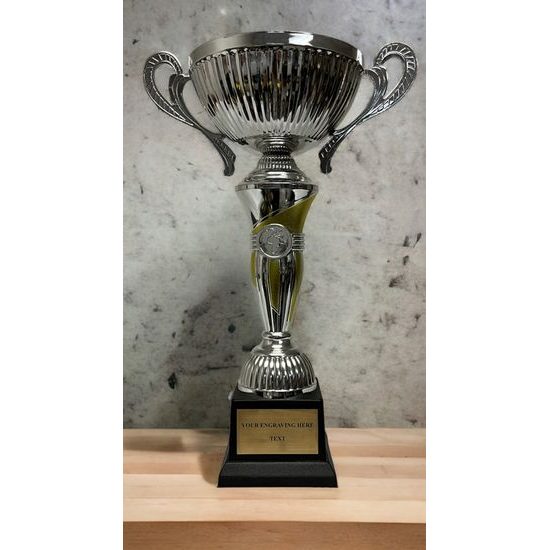 Copa de Plata y Oro STL2019/06