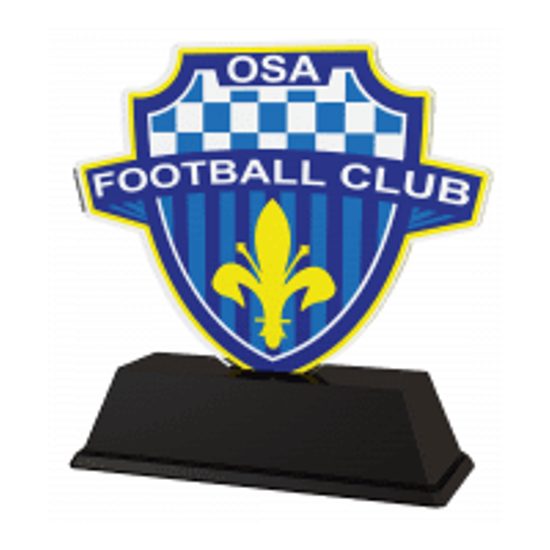 Premio Personalizado con Logo Edison de Acrílico