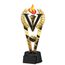 Trofeo Oxford de Victoria