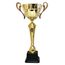 Copa de Oro LXL2022/04
