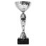 Copa de Plata ECL2022/28