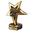 Trofeo Grove de Madera Real para 1er Lugar con Estrella Oro