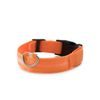 Svítící LED obojek pro psy - Firefly Z1 - USB dobíjení - oranžový