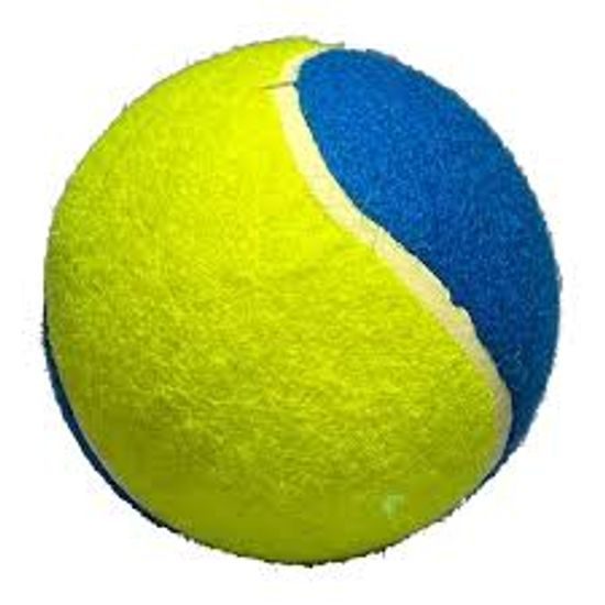 Tenisák 4" 15cm , hračka pro psy