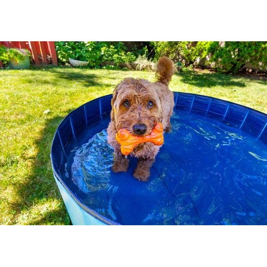 Flamingo Pet Pool Doggy Splatter - Bazén pro psy - modrý - ? 160 x 30 cm (L)