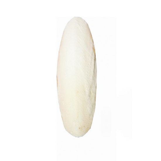 Sépiová kost 1 ks/karta 12cm,FinePet