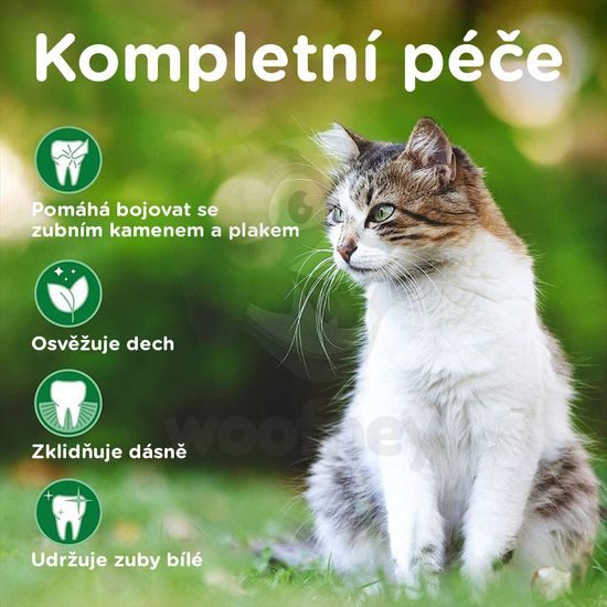 Vet's Best Dental Care Kit - sada na čištění zubů pro kočky (zubní kartáček a pasta 45g)