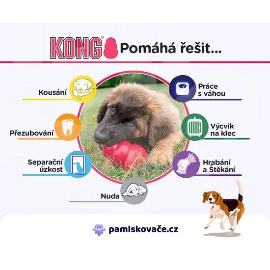 KONG Ball - gumový míček pro psy - 7,4 cm (L)