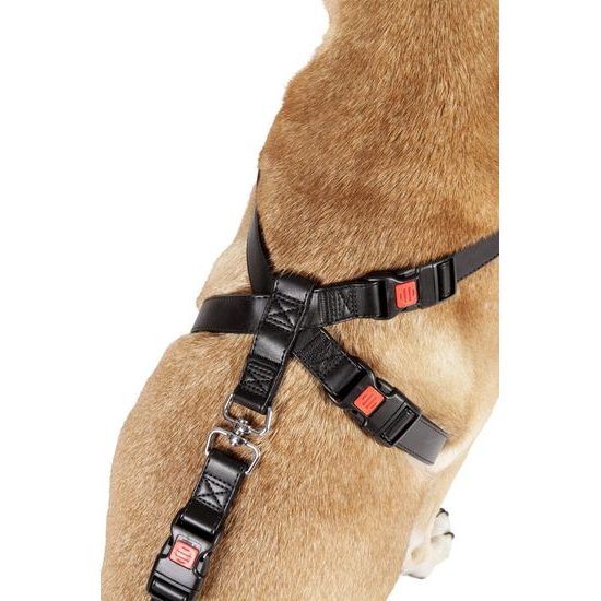 Flamingo Duma - bezpečnostní postroj do auta pro psa - černý