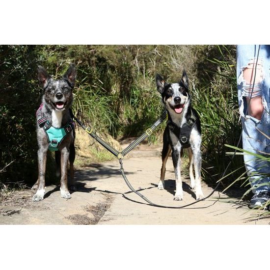 Rozdvojka na vodítko pro psy - DOOG Dual Walker - LADY, 2x 38-60 cm