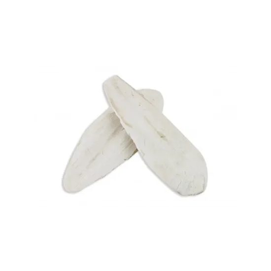 SEPIOVÉ kosti 2ks/krab. 12cm mineral