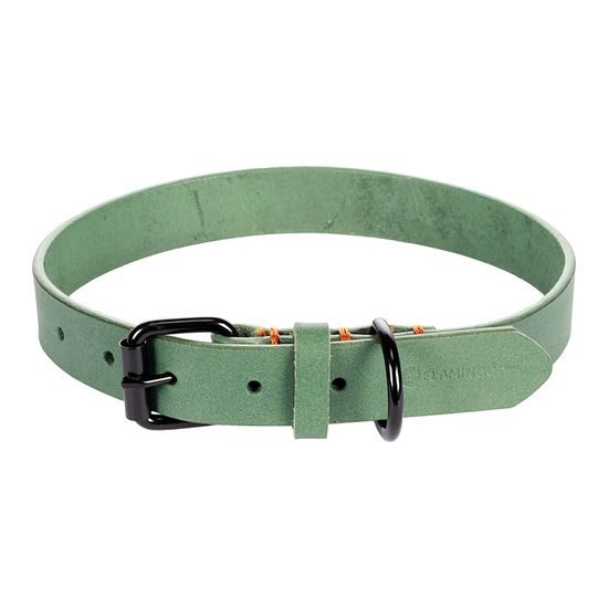 Flamingo Leano Green - kožený obojek pro psy, zelený