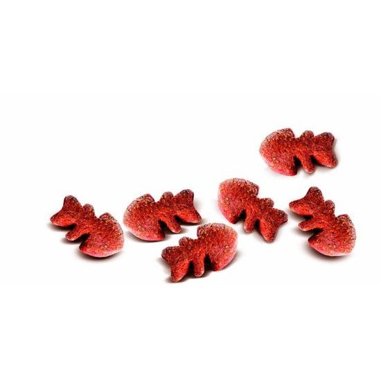 Carnilove Dog Crunchy Snack Mackerel &amp; Raspberries (makrela a maliny) 200g