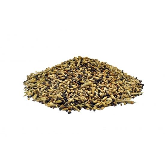 KANÁR 500g ZK VITAFOOD