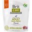 Brit CARE ADULT small 1kg Hypoallergenic